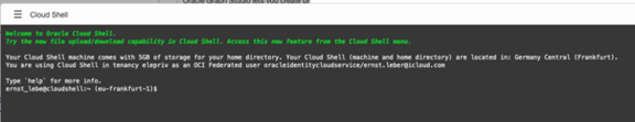 Abbildung 3: Es kann etwas dauern, bis die Cloud-Shell gestartet ist